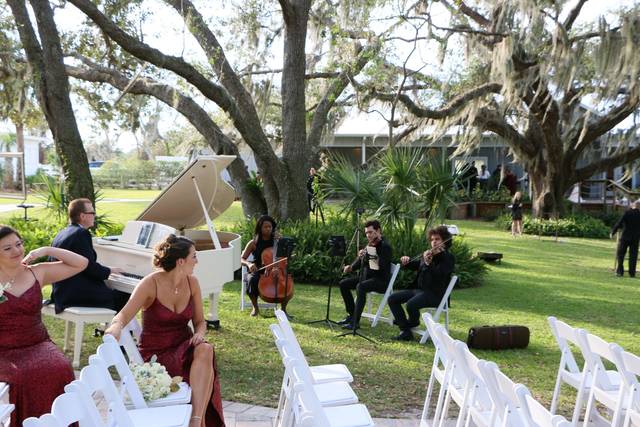 Classern String Quartet 5