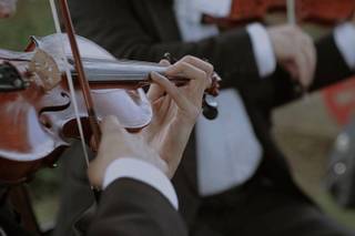 Avalon Music - 5