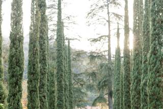 Villa Montalvo at Montalvo Arts Center - 11