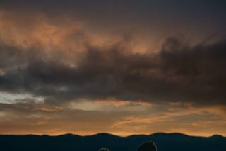 Benjamin Edwards Photography - 29