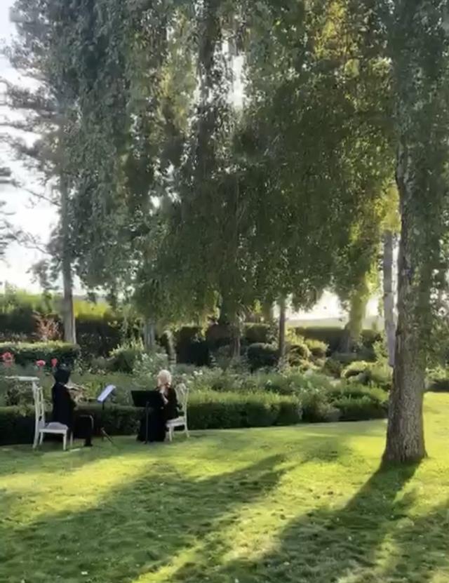 Mariposa String Quartet - 2