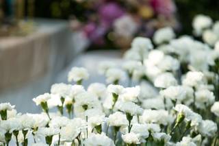 Royal Bee Flower Co. - 12