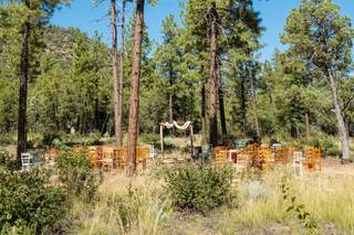 The Cabins on Strawberry Hill - 45