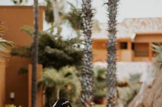 Cabo Wedding Services - 59