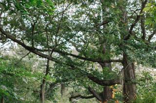 Tyler Phenes Photography - 45
