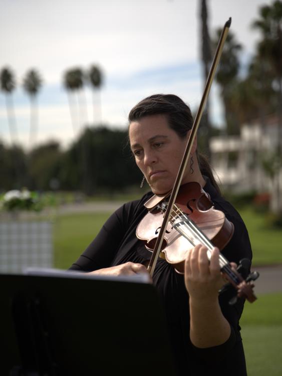 Brooksley Bishop Violinist - 2