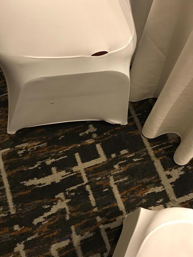 Simply Elegant Chair Covers & Linen - 2