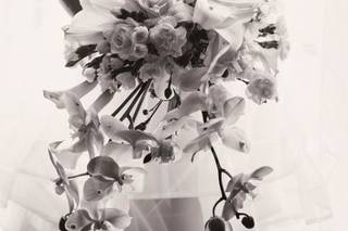 DuHon Photography - 5