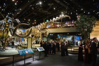 Perot Museum of Nature and Science - 13