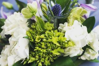 Watered Garden Florist - 15
