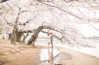 Living Radiant Photography - 65