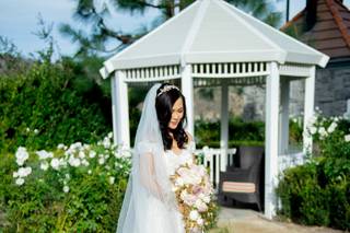 Graphic Studio & Bridal Collection - 12
