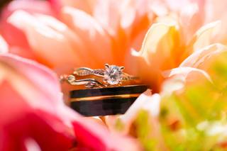 Austin Stuart Photography - 17