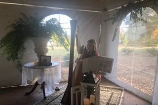 Rhapsody Music- Harp and Piano - 4