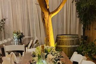 D'Argenzio Winery & Tasting Room - 5
