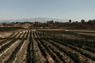Truffle Pig Winery by Wedgewood Weddings - 24