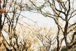 Katherine Joy Photography and Video - 17