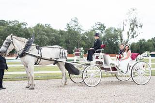 Plantation Oaks Farms - 26