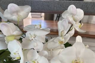 Chiara Flowers - 113