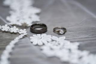 Colin Collins Photography - 5