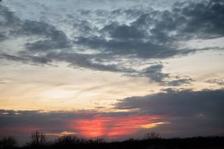 Cardinal Creek Farm - 7