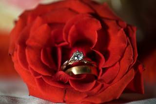 Abben & Lily Photography - 21