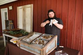 Lucy's Catering & Bar Services - 5