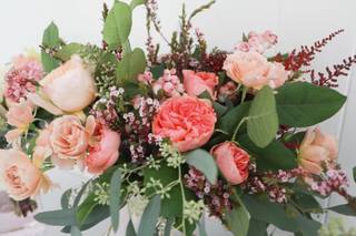 Lovely Peonies - 123
