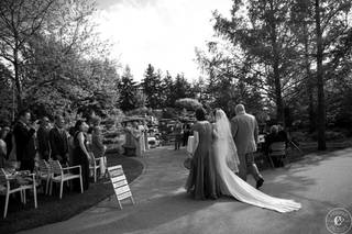 Heritage Hill String Quartet - 6