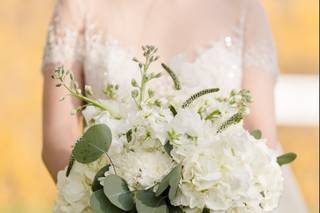 Reiman Photography - 33