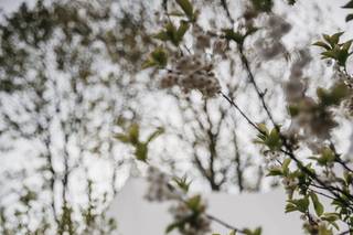 Abigail Jean Photography - 58