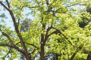 Chapman Hill Weddings + Events - 8