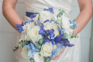 Carrie D Photography - 6