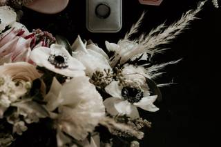 Honey Rose Photo - 17