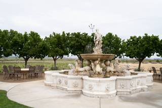 Jacuzzi Family Vineyards - 7