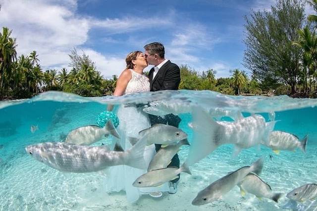 Bora Bora Photo & Video 5
