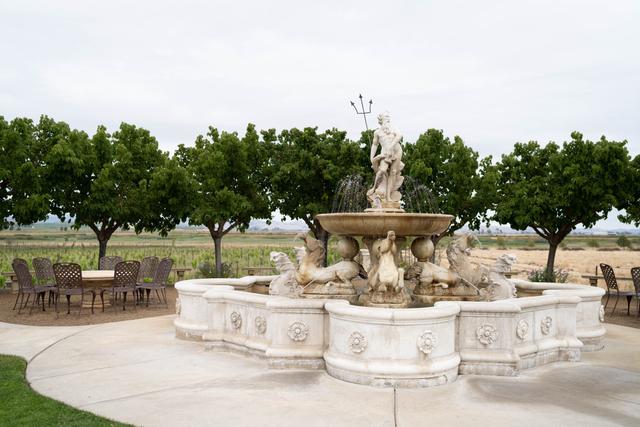 Jacuzzi Family Vineyards - 3