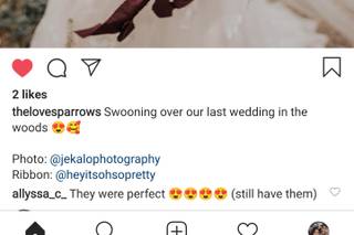 Love Sparrows - 5