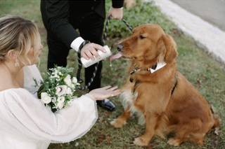 Brittany’s Pet Service LLC - 9
