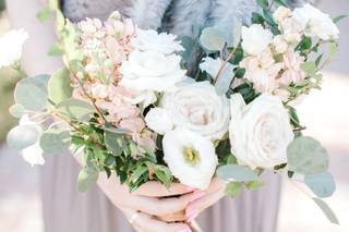 Blue Jasmine Floral - 18