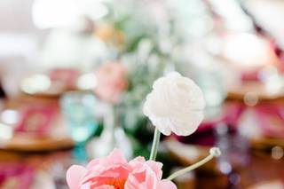 Ashley Helen Photography - 6