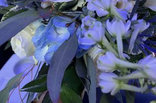 Arcadia Floral Co. - 38