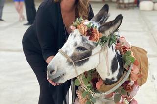 Haul N Ass Productions - 107