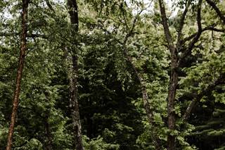 Adrienne Gerber Photography - 24
