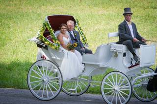 Carriage Limousine Service - Horse Drawn Carriages - 14