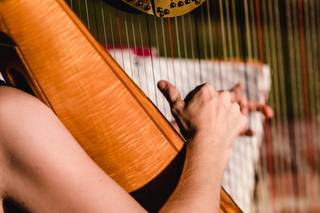 Ashley Toman- Harpist - 6