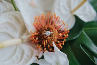 Coastal Blossoms - 26