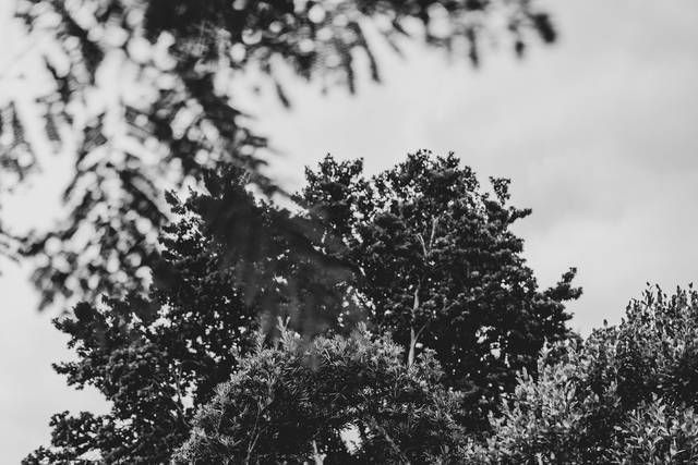 Danielle Love Photography 3