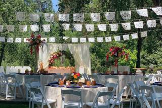 Touch Of Elegance - 64