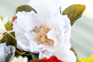 White Fox Wedding Photography - 101